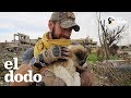 Este soldado le salvó la vida a una cachorrita y luego se dio cuenta de que no podía vivir sin ella