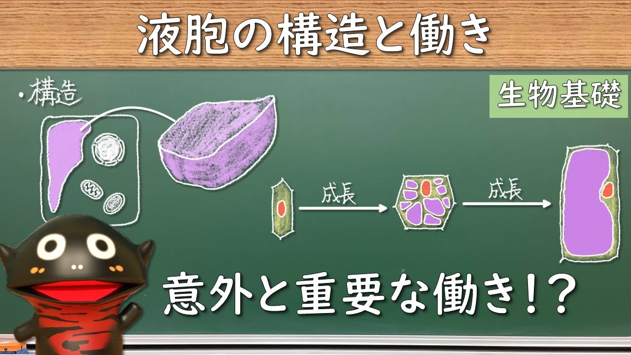液胞の構造と働き【23生物基礎】2022年度入学以降の新課程に対応 - YouTube
