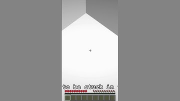 The most useless button in Minecraft