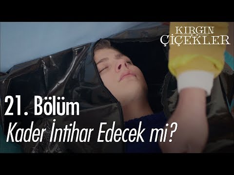 Kader intihar edecek mi? - Kırgın Çiçekler 21. Bölüm