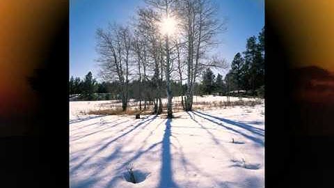 Dr Michael Arata - LDN Prescribing Doctor - US