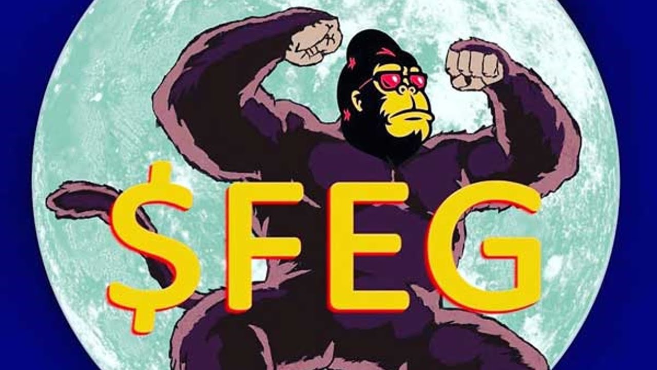 Feg token. Как и где купить.