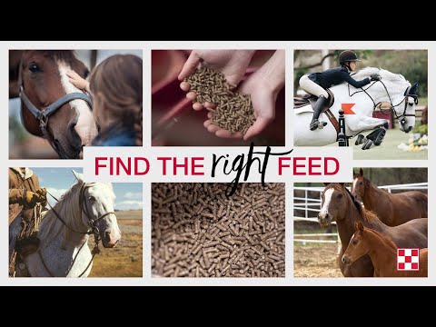 ვიდეო: რა არის millrun horse feed?