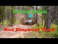 Off Roading Pickle Gulch &amp; Red Elephant Trail