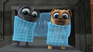 Bingo And Rolly Get Bubble Wrapped Puppy Dog Pals Disney 2017