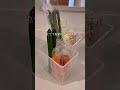 セリアで叶う もう腐らせない野菜室収納🥕
