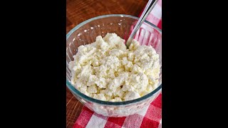 Why Ricotta Is the Best Cheese