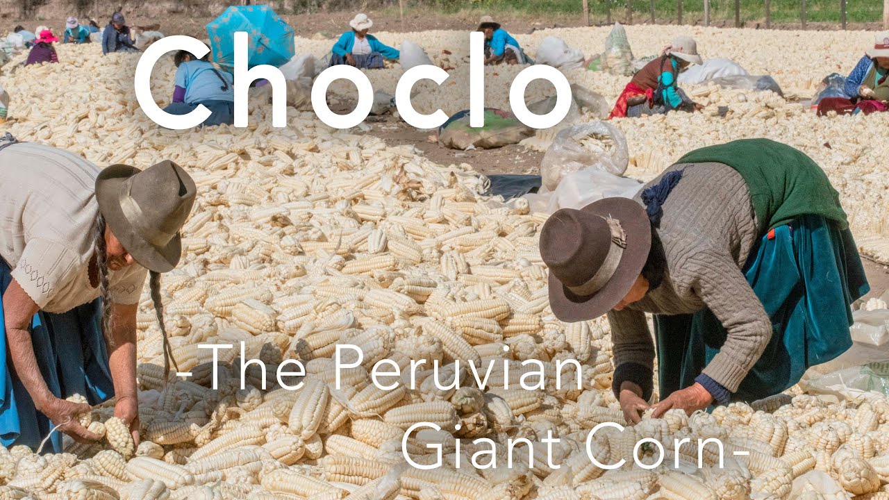 Hacienda Sarapampa, Cusco, Peru