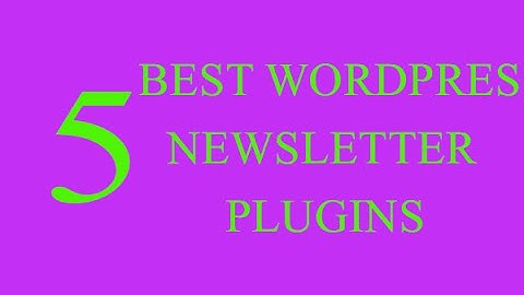 5 Best WordPress Newsletter Plugins