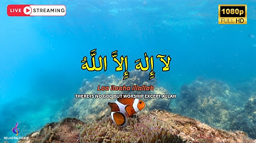 DZIKIR LAILAHAILLALLAH for Stress Relief Dzikir for Peace of Mind Easy Sleeping #269