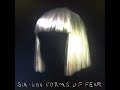 AI COVER SIA