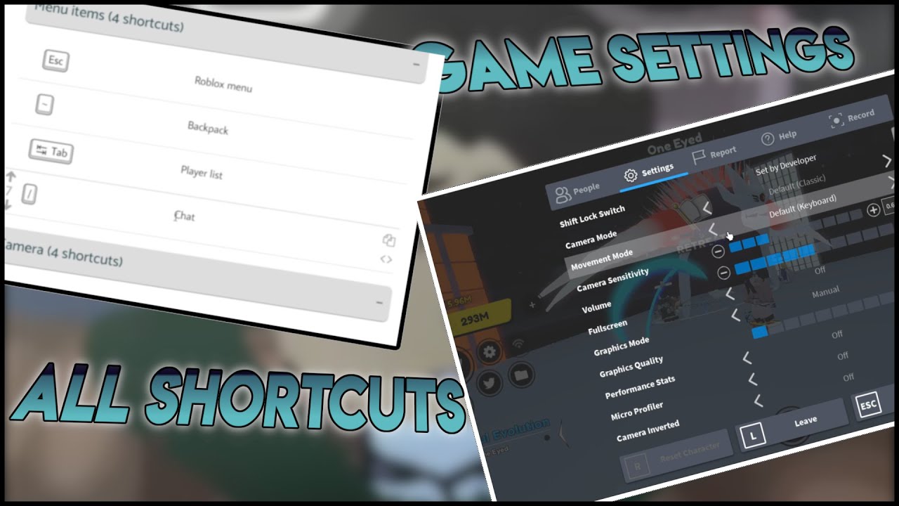 Roblox Settings! Everything You Need To Know! 