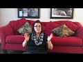Help for Dogs Afraid of Doorways | Dog Training Nation Help for Dogs Afraid of Doorways | Dog Training Nation
