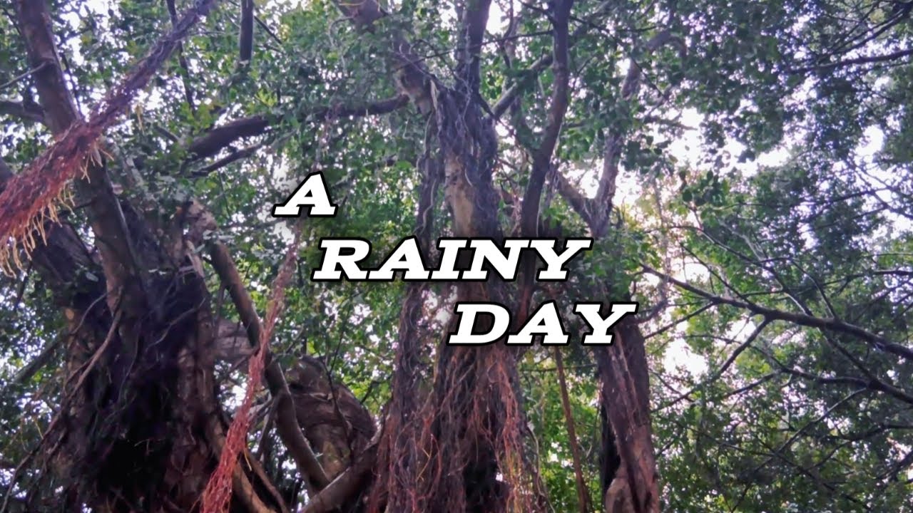 A RAINY DAY