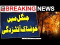 Huge fire sweeps through Murree forest | ARY Breaking News