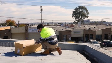 Ready-to-install Bird Spikes - Fast and Easy Installation