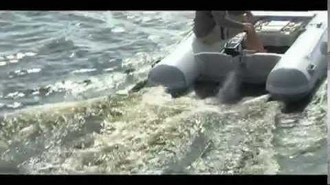 Torqeedo in "Today in America"