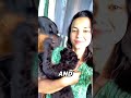 Everyone thought this leopard was attacking the dog || They were wrong 😱❤️ #shorts