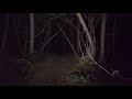 【4K】Return to night Aokigahara (no pranks)