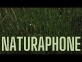 Naturaphone, feat. Rob Van Der Made - Official Music Video