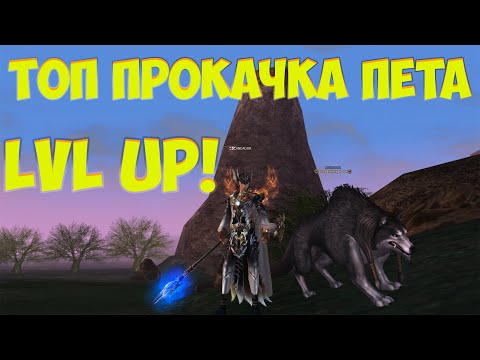 Как Быстро прокачать Пета в Lineage 2 Essence