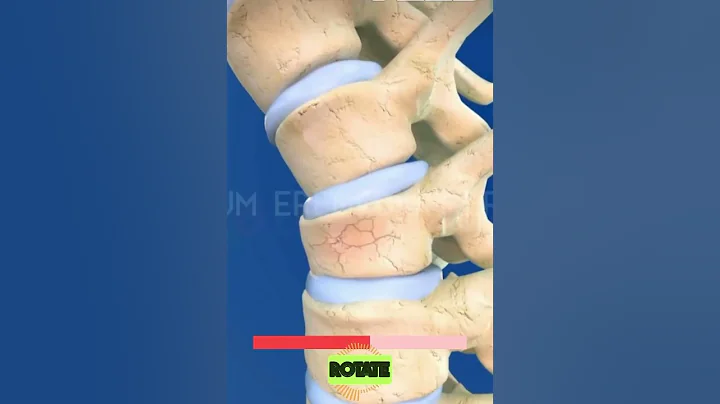 Jaylen Brown almost paralyzed after scary fall