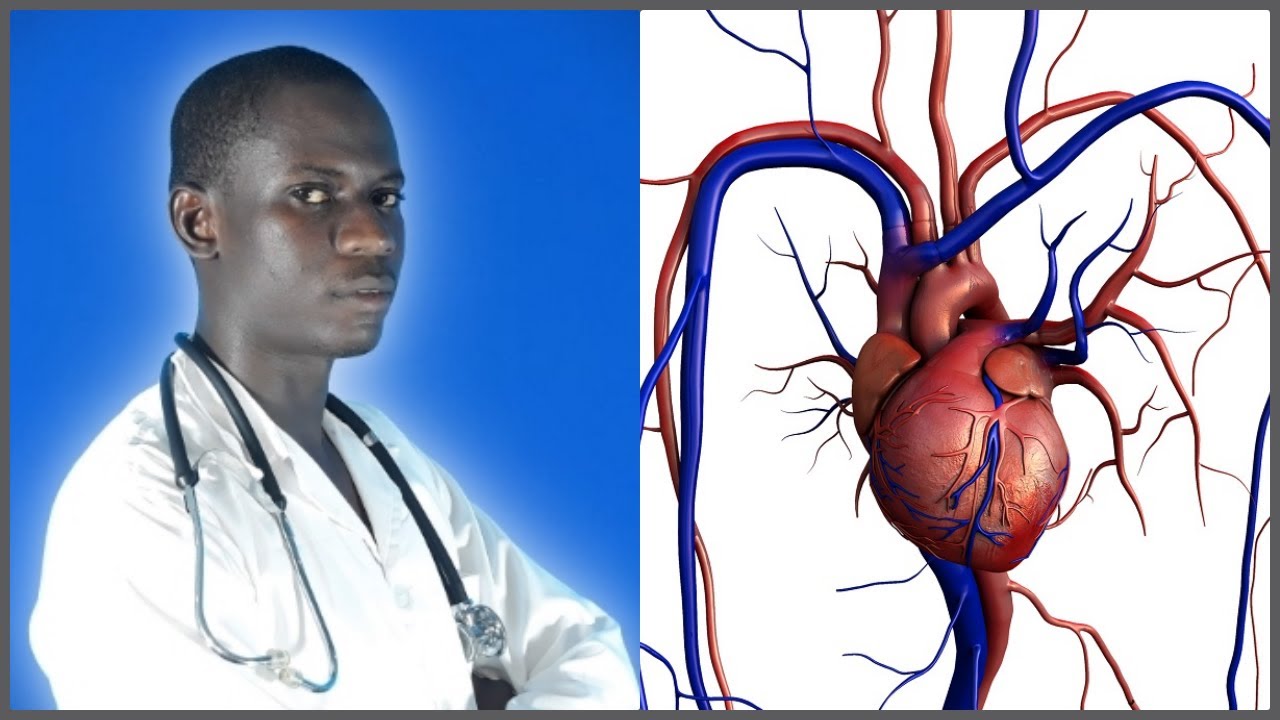 Rubrique santé  Mort subite  YouTube