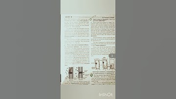 Telangana intermediate 2nd year botany important questions 2025 1st chapter plant physiology.