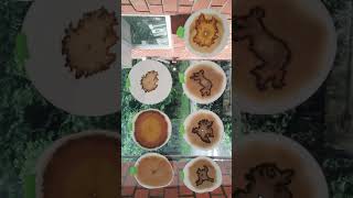 Making Soil Chromatography