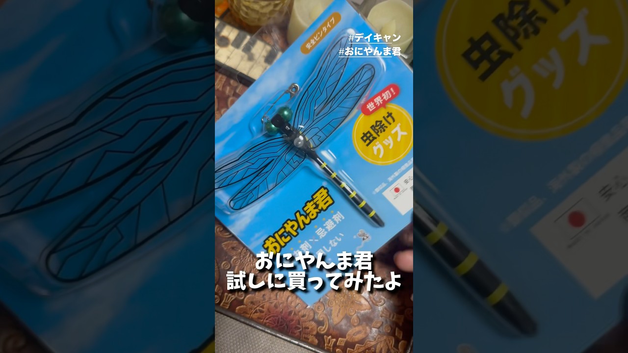 デイキャン おにやんま君 #camping #touring #osaka #japan #jazz #dance #dancer #キャンプ #ツーリング #オニヤンマ #デイキャンプ #bike