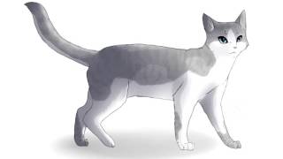 Animash - Ivypool&Hawkfrost - Искра и Коршун - Котик Animash - Ivypool&Hawkfrost - Искра и Коршун - Котик