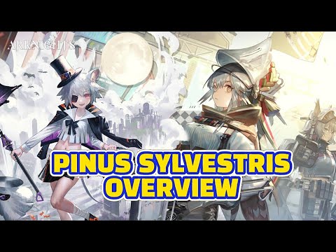 [Arknights] Pinus Sylvestris Overview + Record Restore Update |New Event