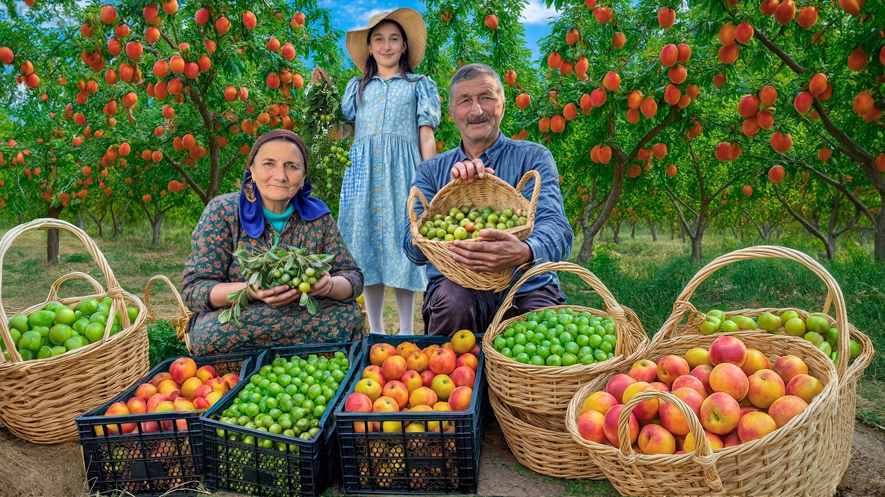 Picking Cherry Plum and Strawberry from the Mountain Orchard For Sweet Jam!
