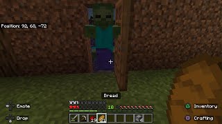 Minecraft_ episode 12