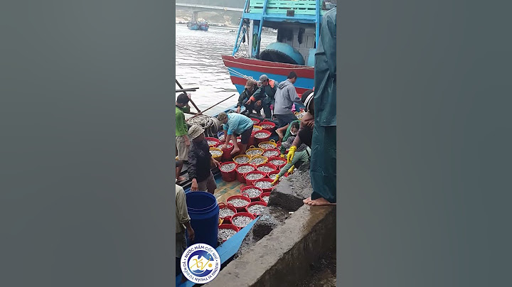 Hành Trình Cá Cơm Từ Biển Về Xưởng - Bí Quyết Làm Nên Nước Mắm Phú Việt Truyền Thống
