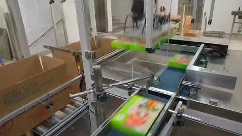 Cartoning machine connect to Case packing machine for frezon product