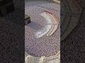 Mecca Hajj Video 2026 #facts #mecca #saudiarabia #music #islamic #islamicshorts #islamicvideo #new