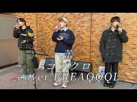 【カバー】蕾/コブクロ   cover.BREAQQQL
