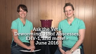 Ask the Vet - Deworming, Abscesses, EHV-1, and more! - June 2016