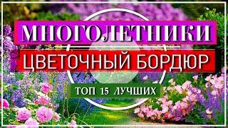 15 БОРДЮРНЫХ Многолетников - ЦВЕТУТ Пышными ШАПКАМИ / Посадите их Вдоль Дорожки - Не ПОЖАЛЕЕТЕ!