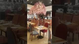 #lunchcumhitea #rosepalacerestaurant