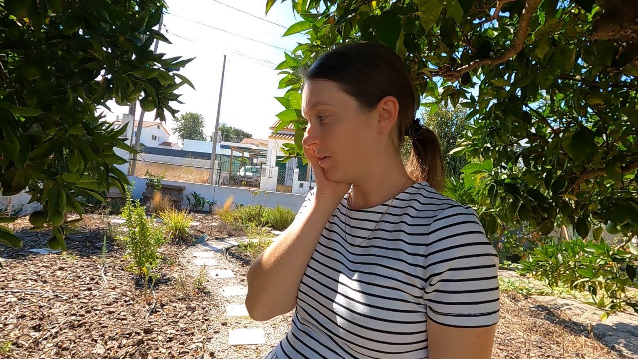 Garden after a long drought Portugal
