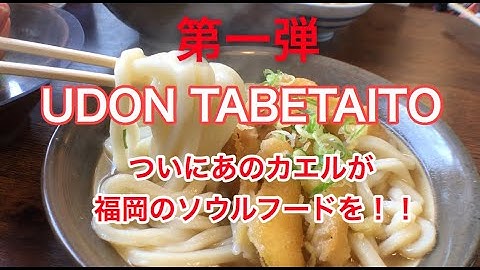 うどん大好き！UDON TABETAITO. 予告#ケロケロっちゃんねる 