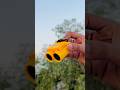 I brought binocular #shorts #ytshorts #binoculars