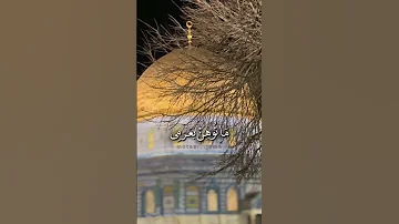 إن كان الســجــن فالله تحلى فيه العتمة 