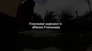 Celebrity Firecracker from 1,000 to 30,000 fps - Slow Motion - Chronos 1.4 Net Worth