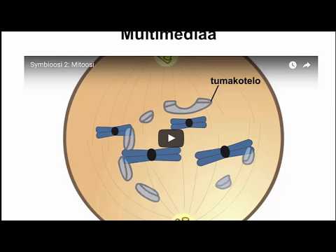 Video: Kuinka Kirjoittaa Biologian Seulontatestejä