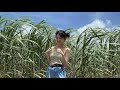 私の夏休み【2022】