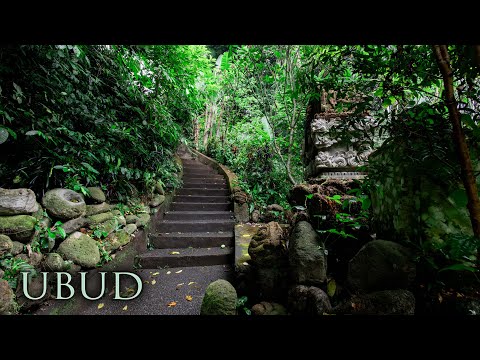 Is Bali Tropical Rainforest