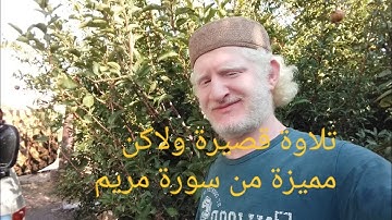 رد والد سيدنا إبراهيم عليه السلام على ابنه تلاوة من سورة مريم للقارئ عامر جبو